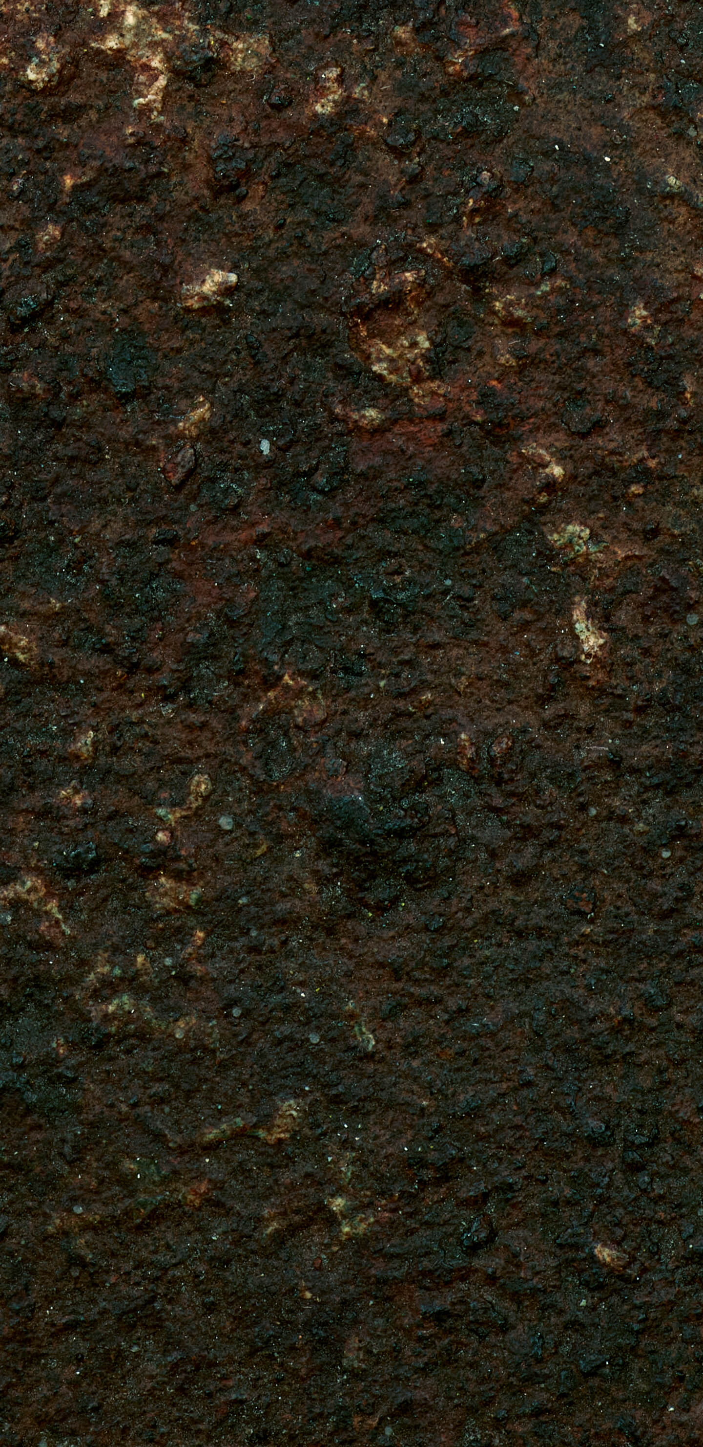 Detailed Image 2 Detailed Image 2