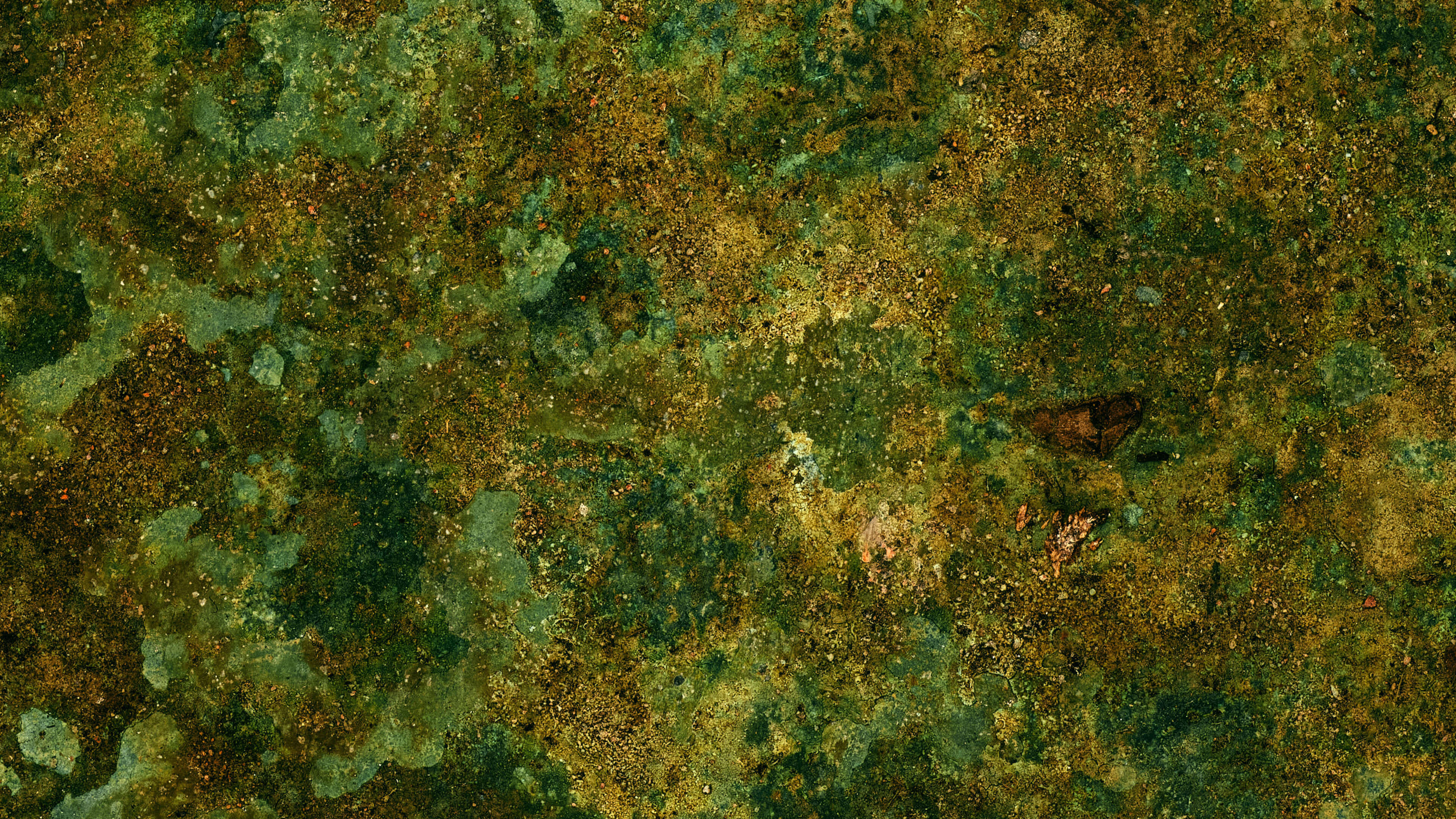 Detailed Image Detailed Image
