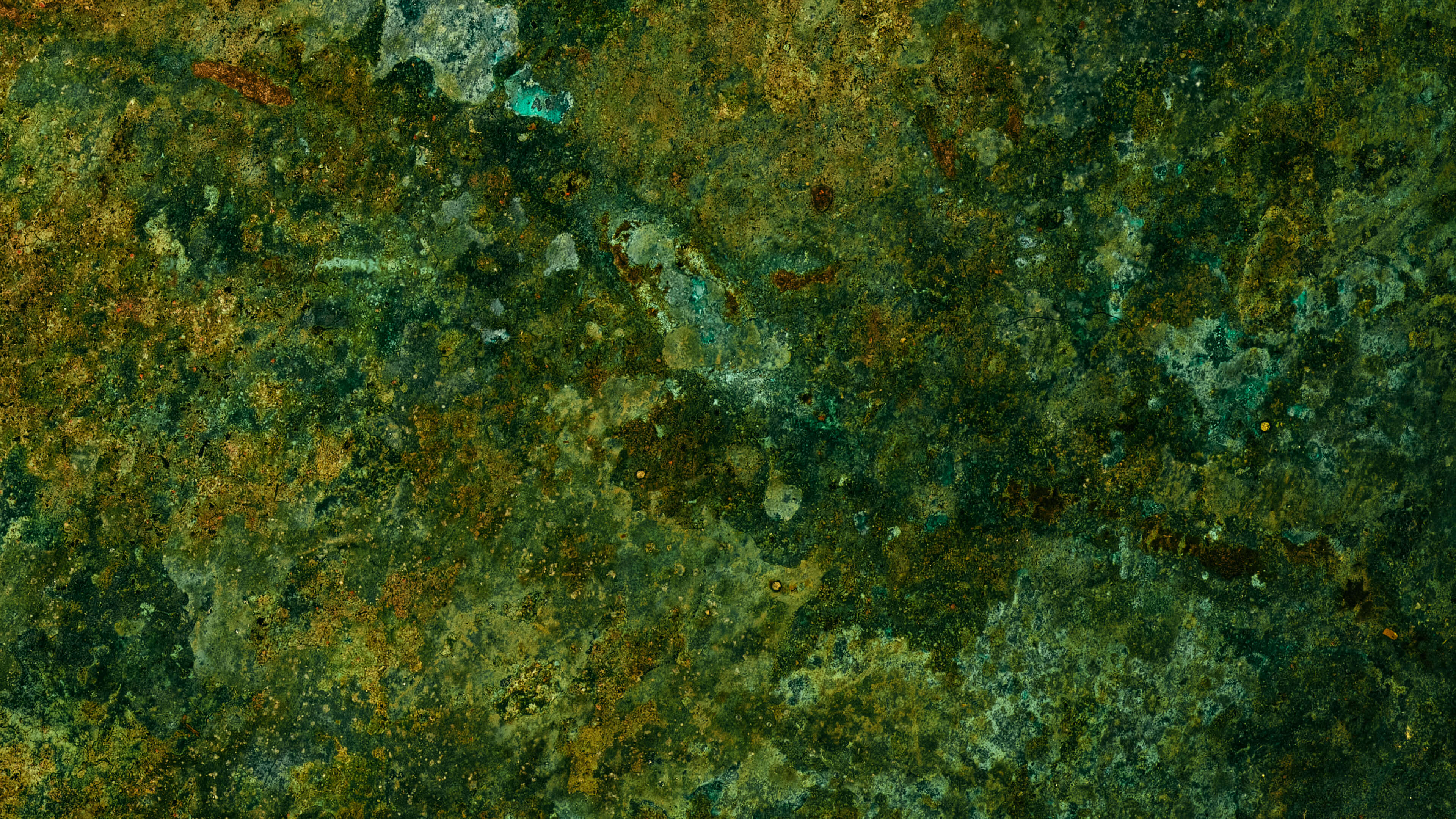 Detailed Image 2 Detailed Image 2