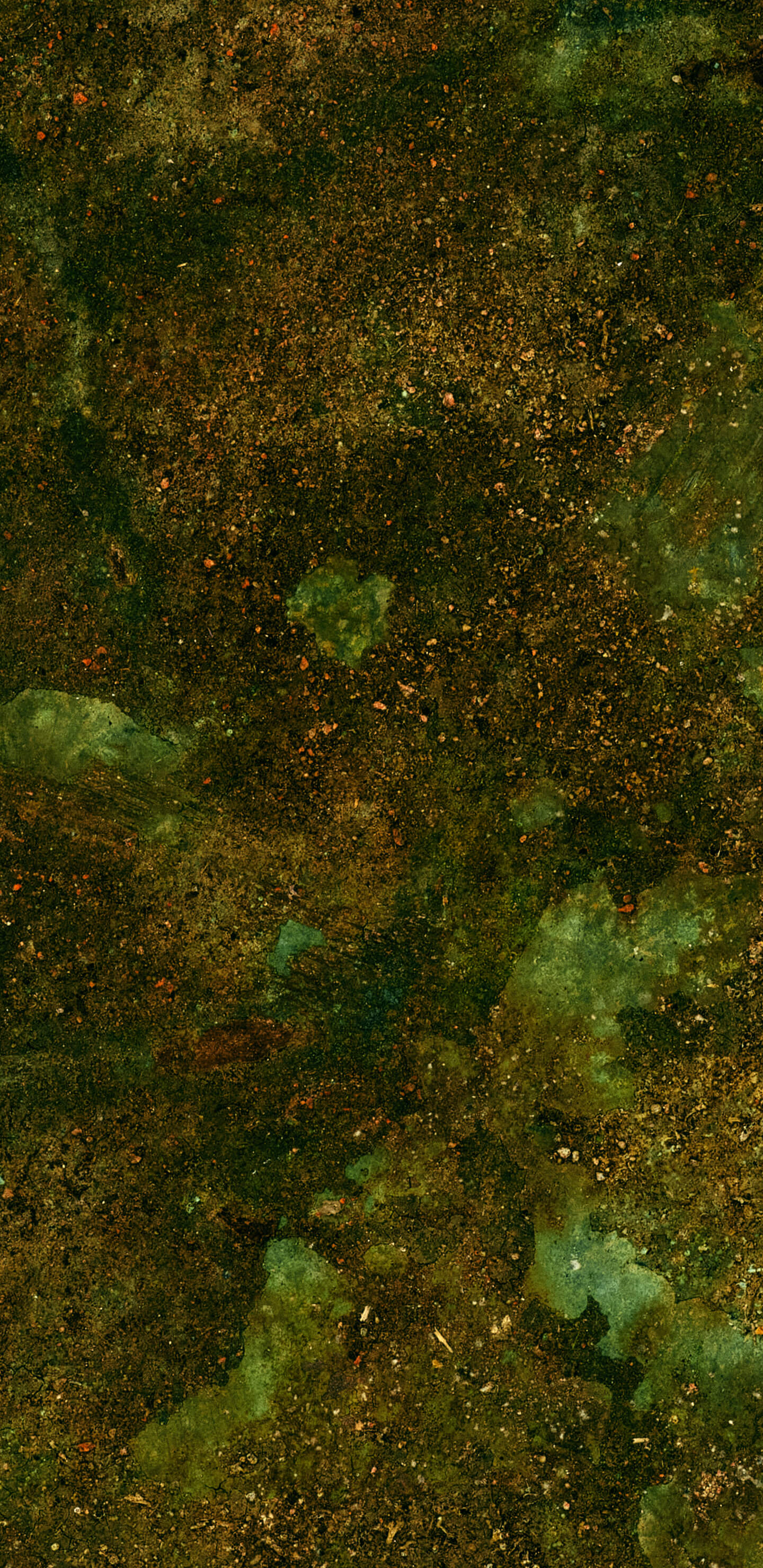 Detailed Image 1 Detailed Image 1