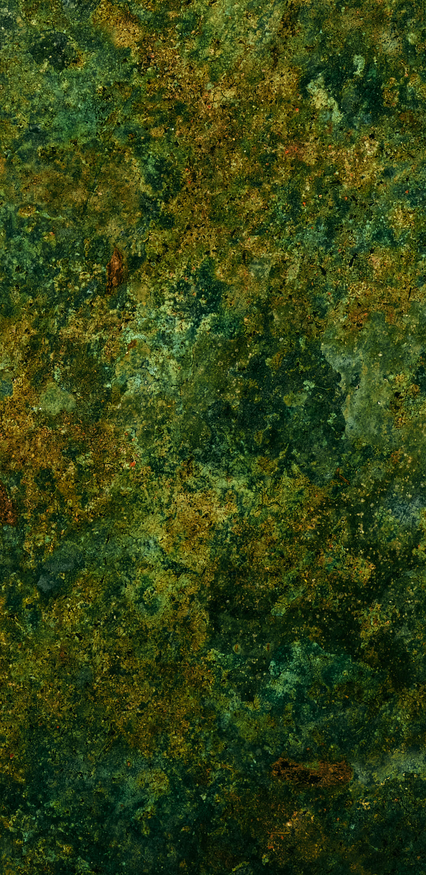 Detailed Image 2 Detailed Image 2