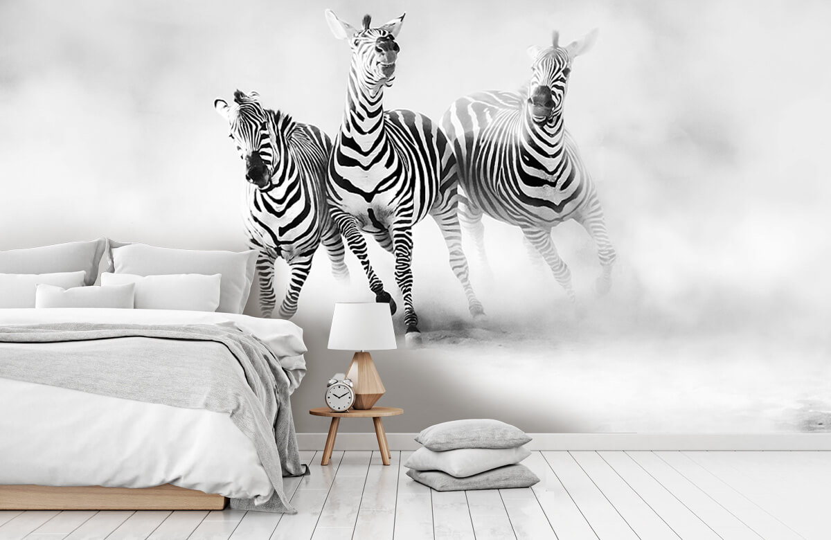  Zebras 10
