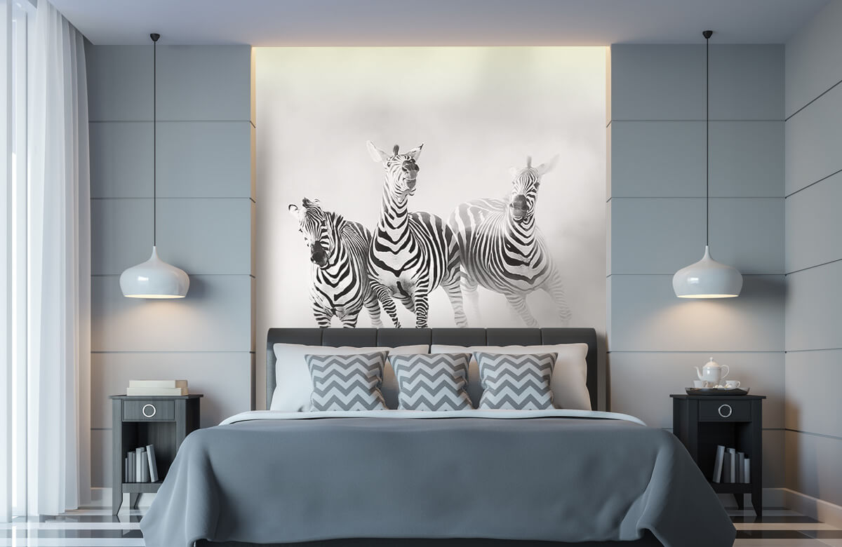  Zebras 4