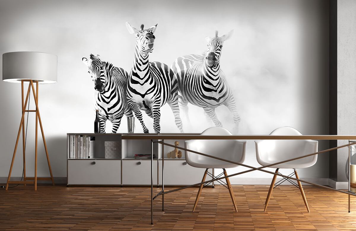  Zebras 1