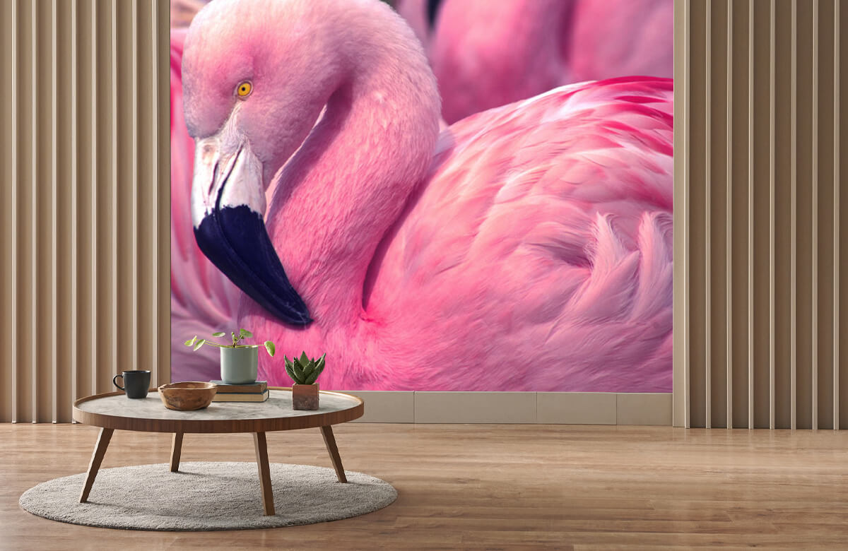 wallpaper Close-up Flamingo 1