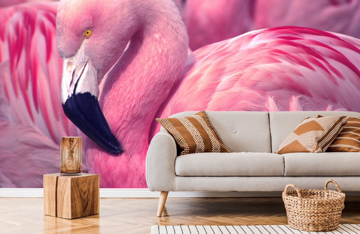 wallpaper Close-up Flamingo 6