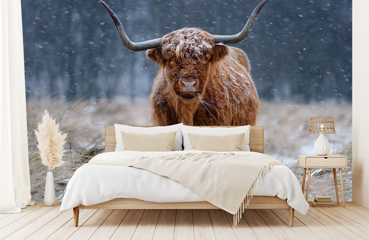 wallpaper Snowy Highland cow 5
