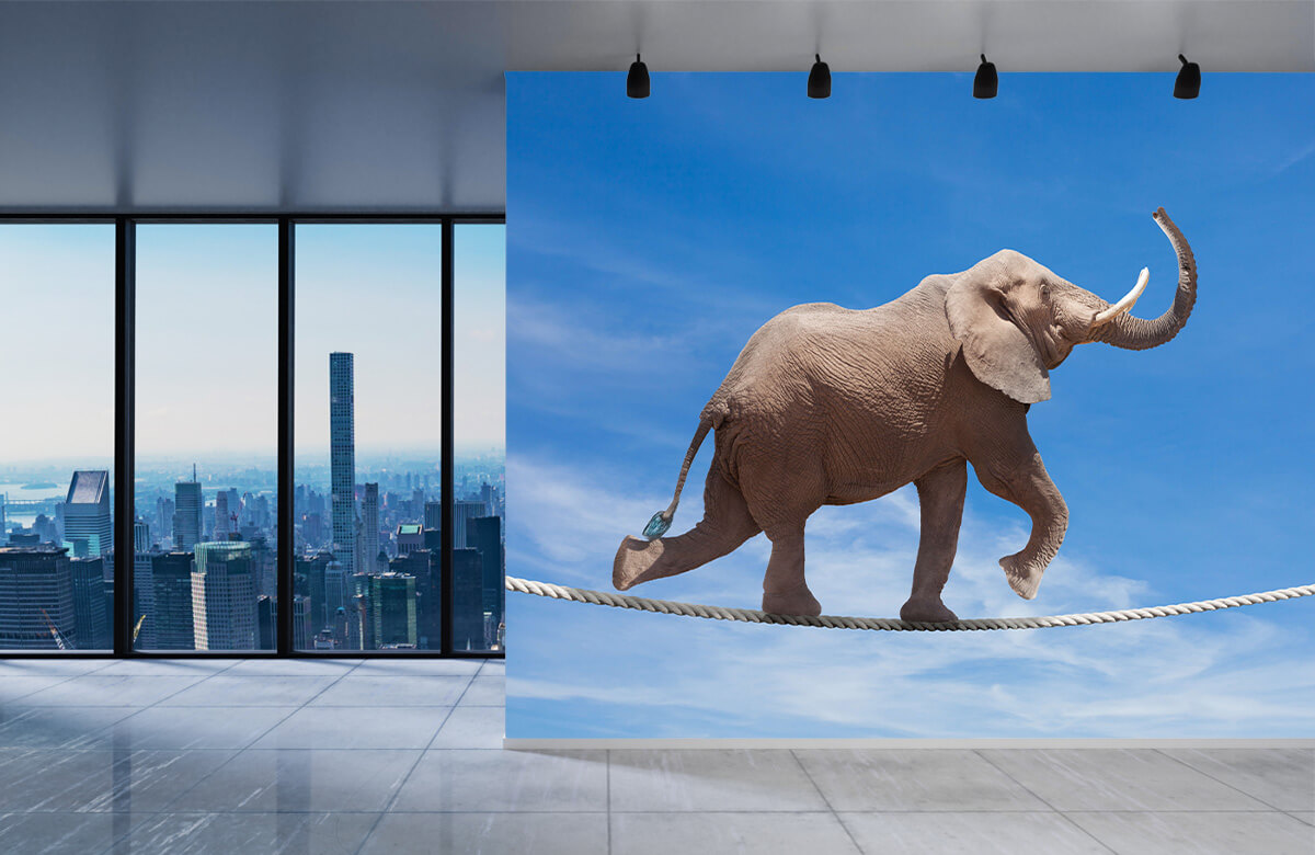 wallpaper Balancerende olifant 1