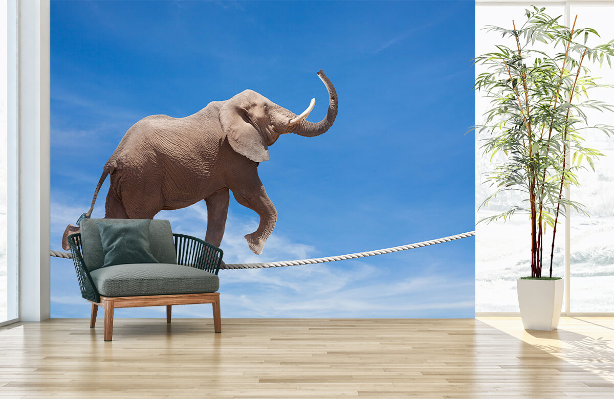 wallpaper Balancerende olifant 2