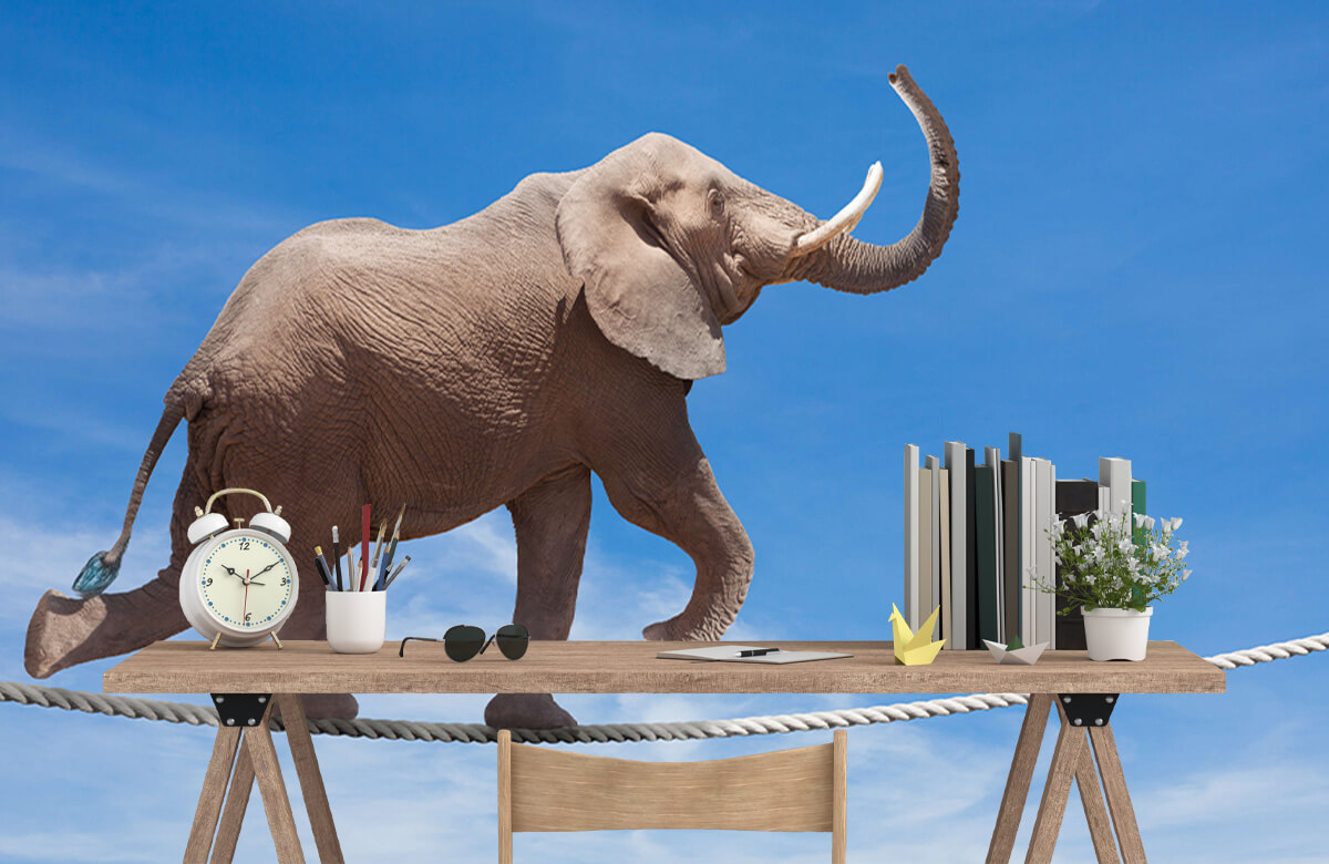 wallpaper Balancerende olifant 7
