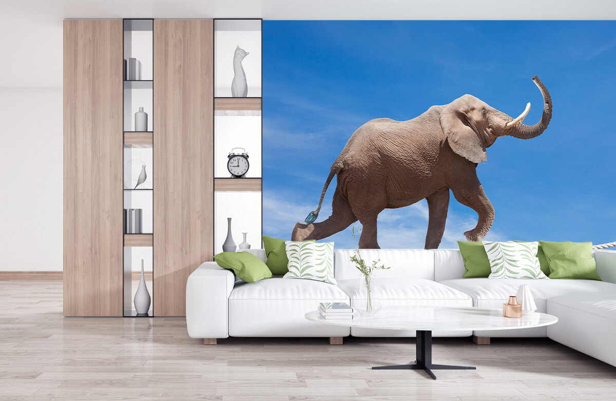 wallpaper Balancerende olifant 10