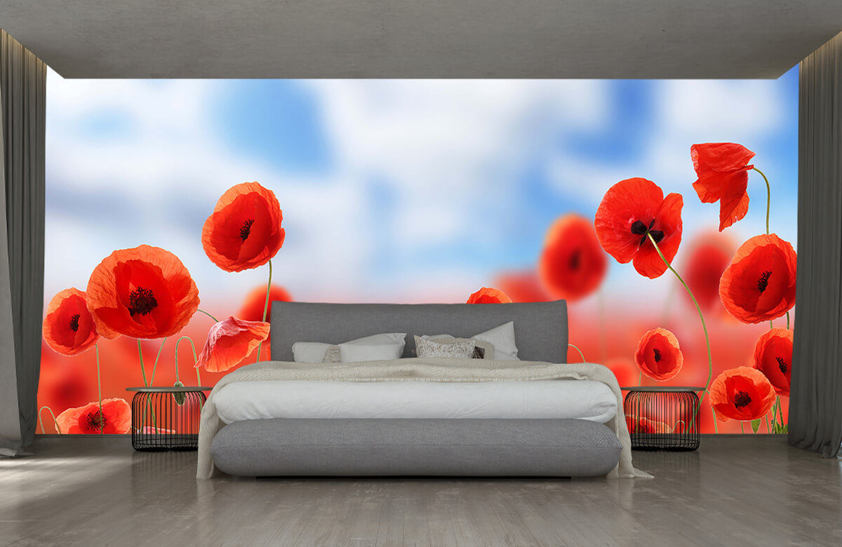 wallpaper Blauwe lucht en rode Klaprozen 2