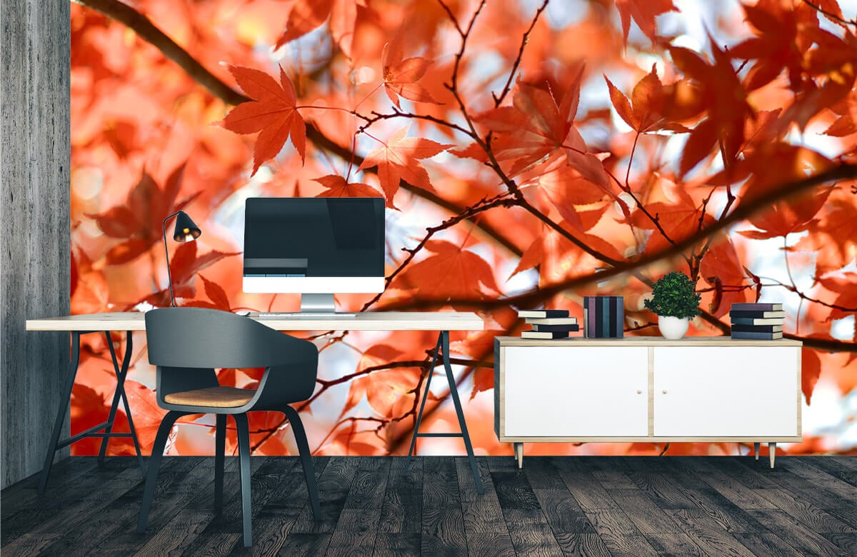 wallpaper Kleurrijke herfstbladeren 1