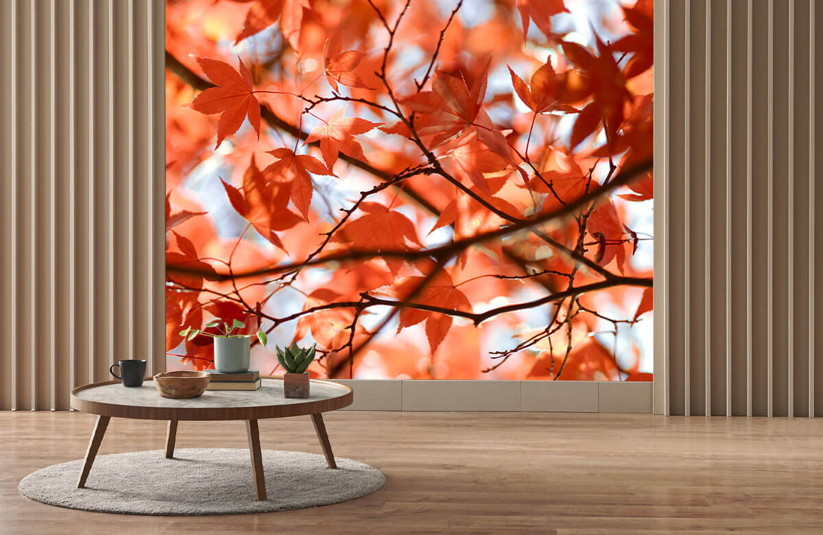 wallpaper Kleurrijke herfstbladeren 2