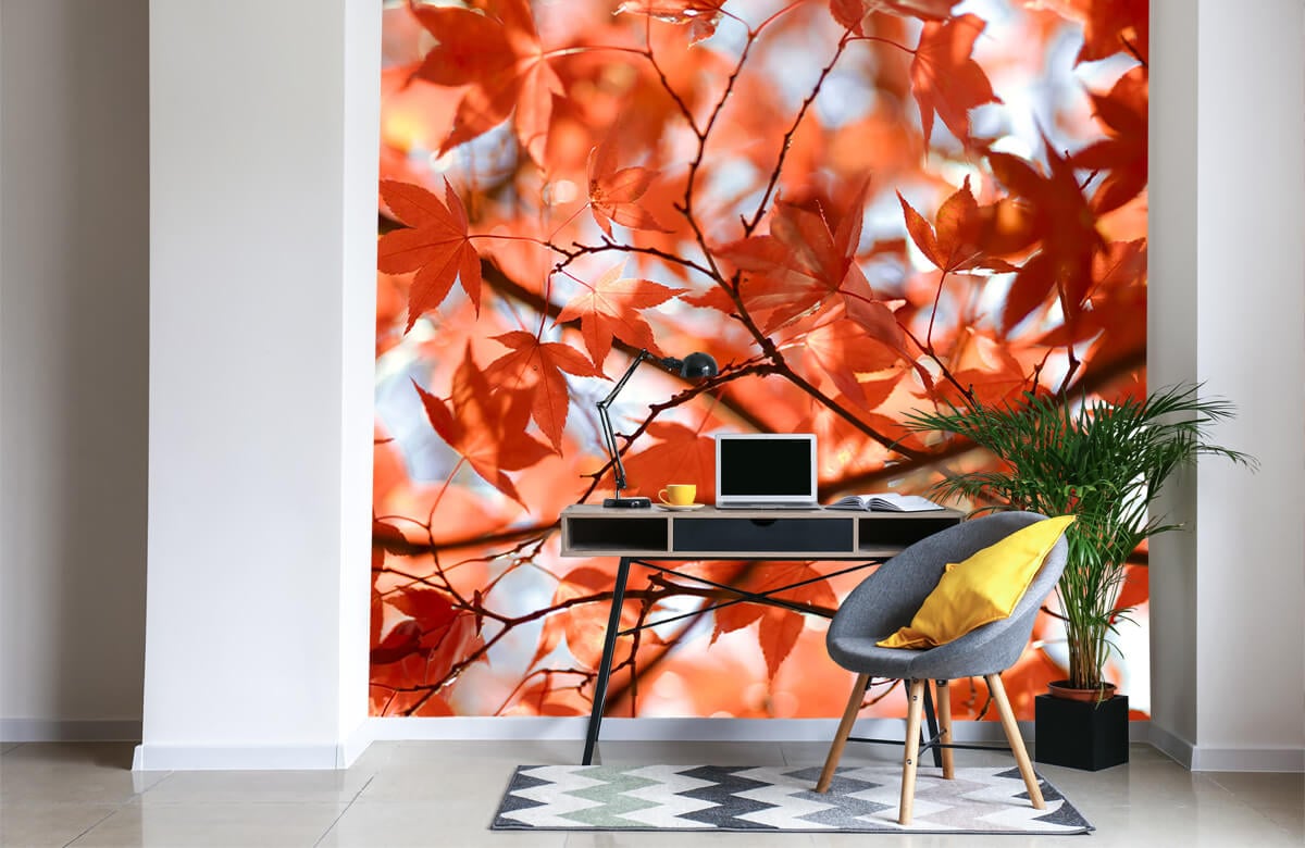 wallpaper Kleurrijke herfstbladeren 4