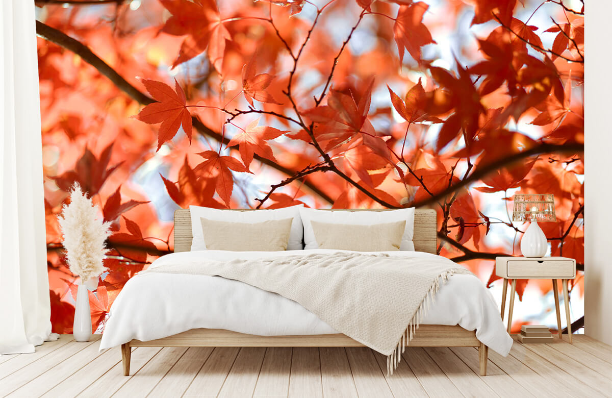wallpaper Kleurrijke herfstbladeren 5