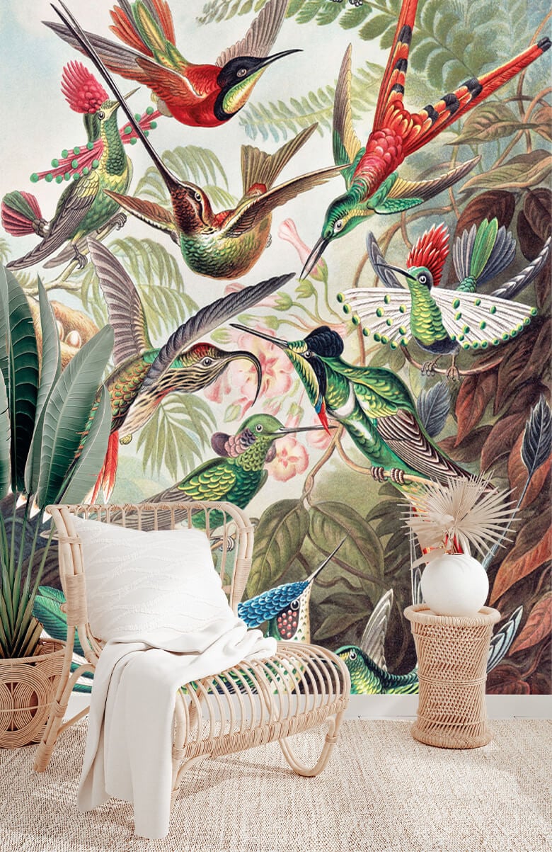 wallpaper Hummingbirds 4