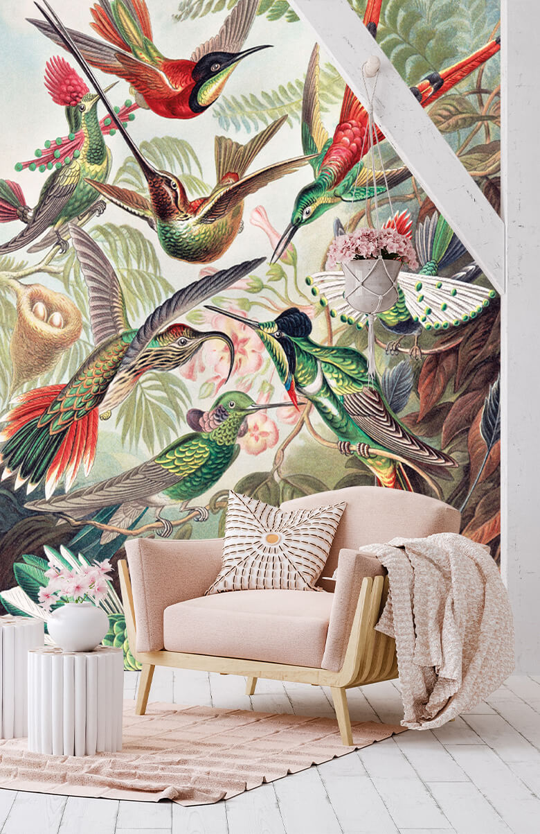 wallpaper Hummingbirds 5