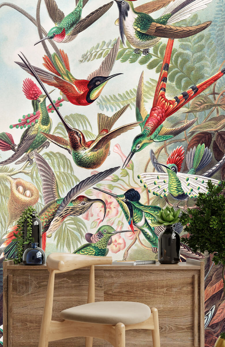 wallpaper Hummingbirds 6
