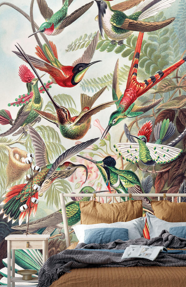wallpaper Hummingbirds 3