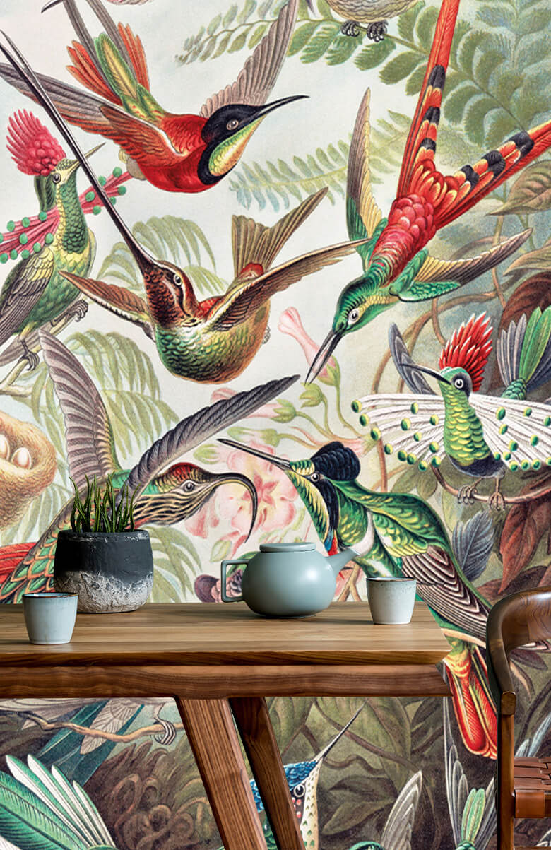 wallpaper Hummingbirds 7