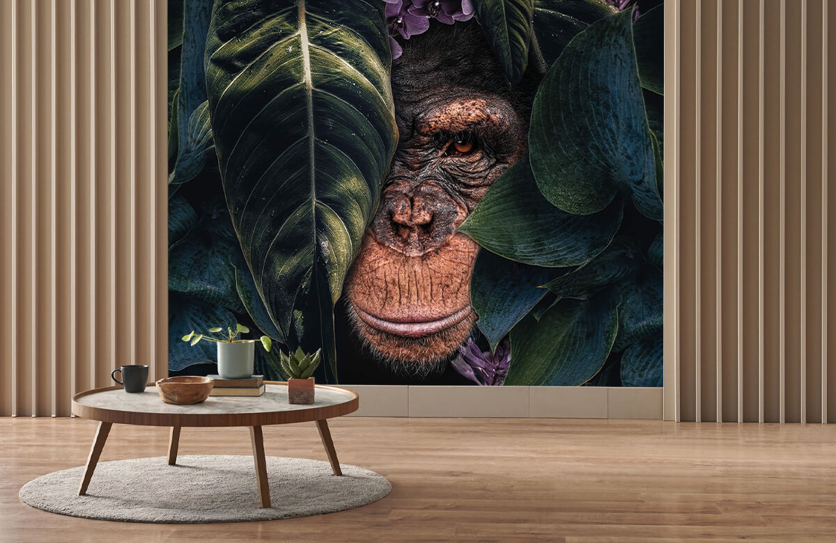 wallpaper Jungle Chimpanzee 2