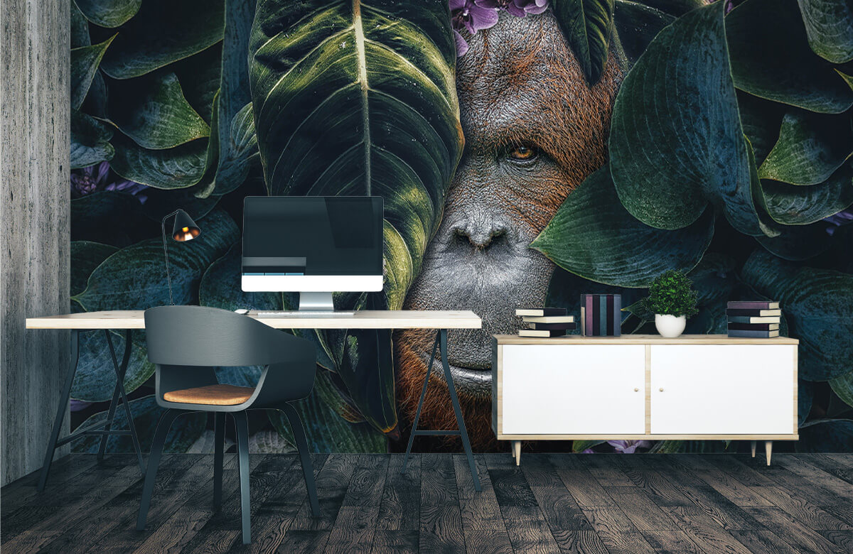 wallpaper Jungle Orangutan 3