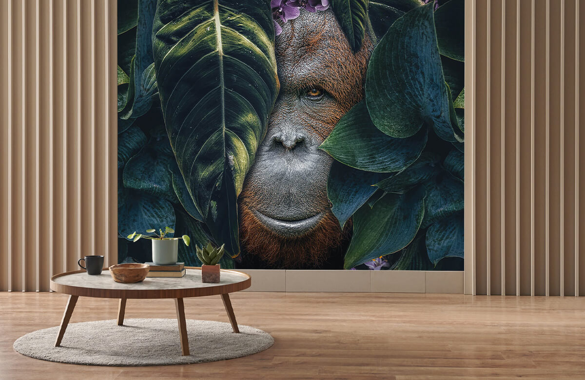 wallpaper Jungle Orangutan 6