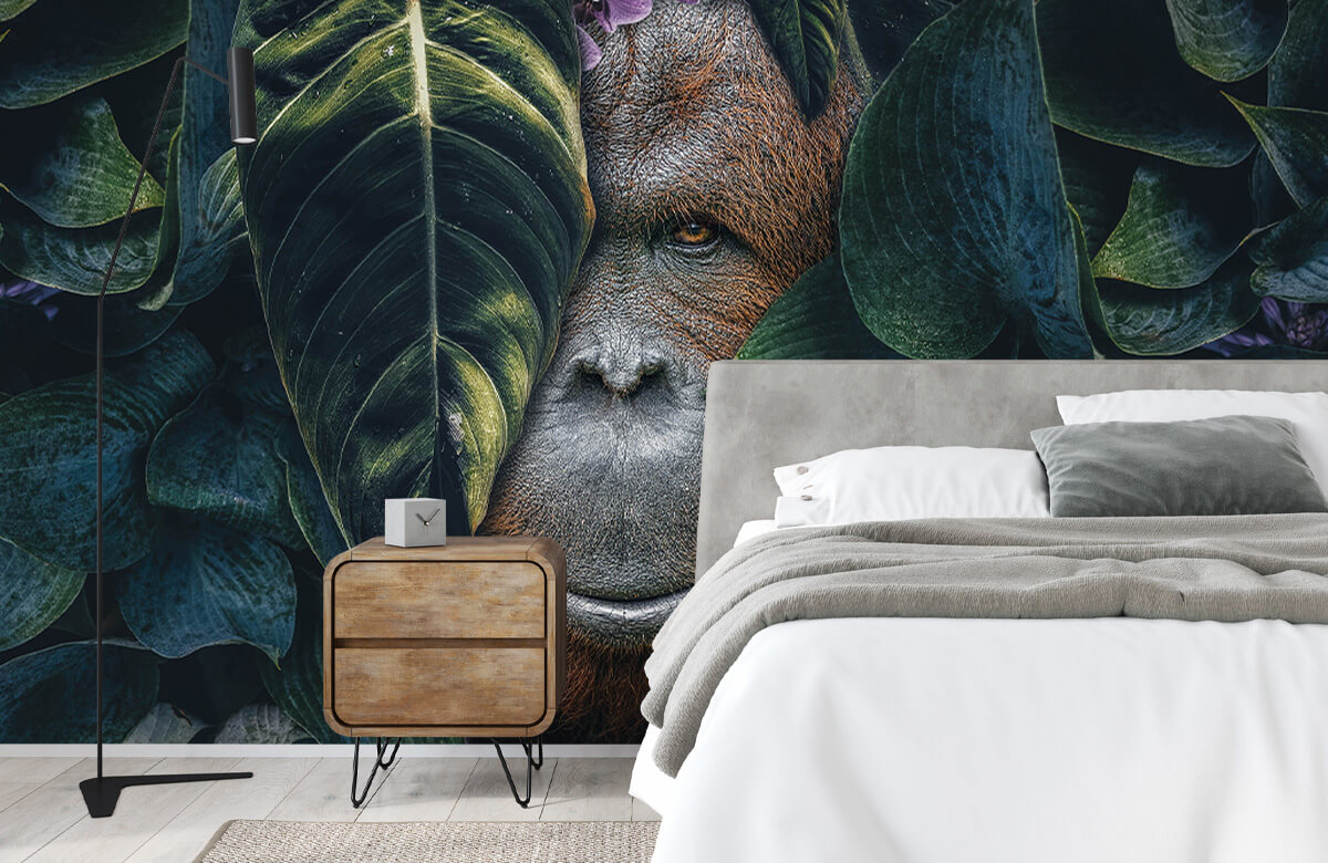 wallpaper Jungle Orangutan 2