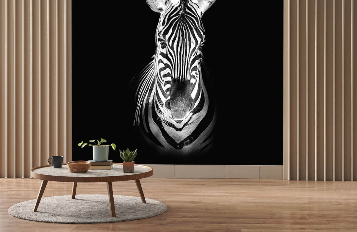 wallpaper Close-up zebra zwart-wit 5