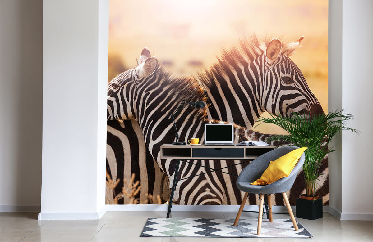 wallpaper Zebra liefde 4