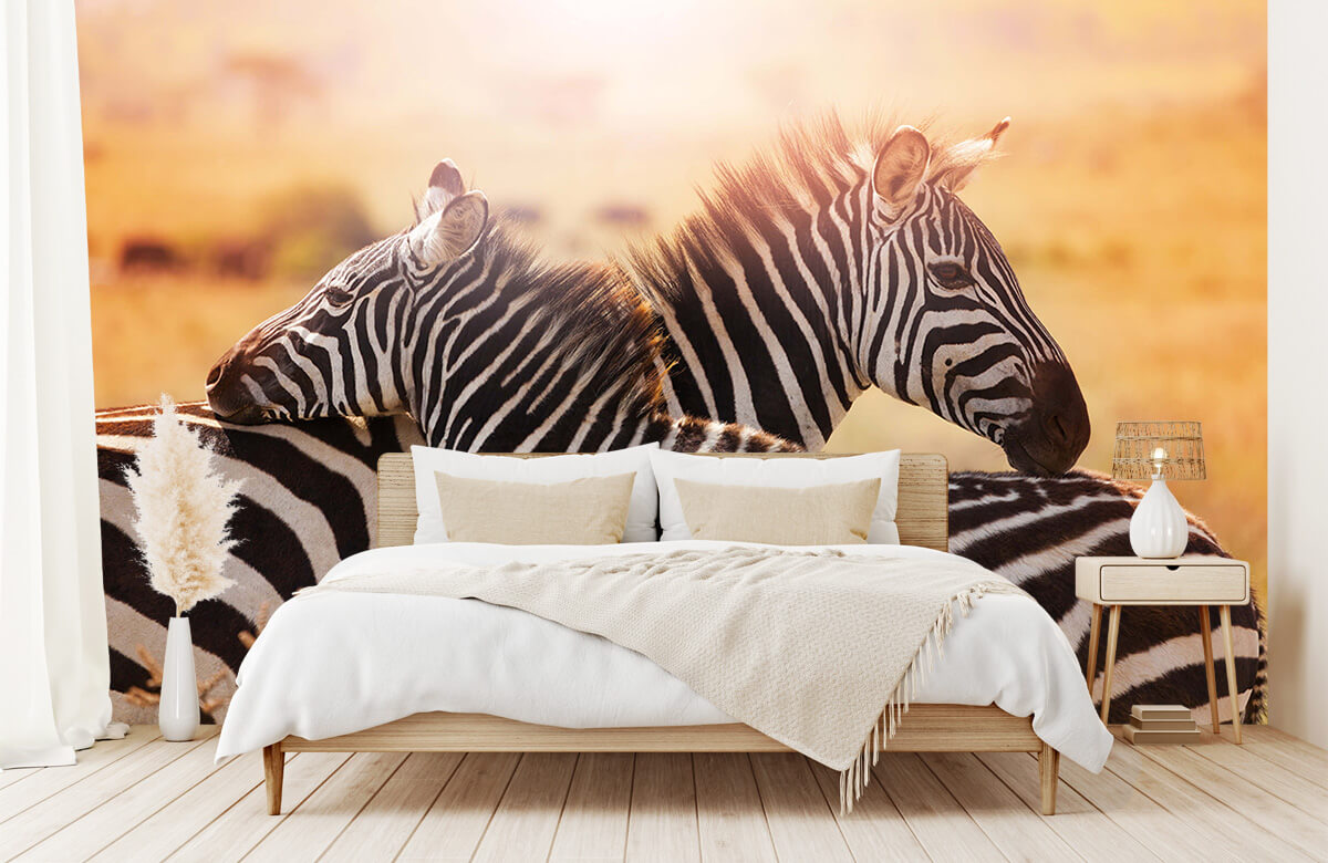 wallpaper Zebra liefde 5