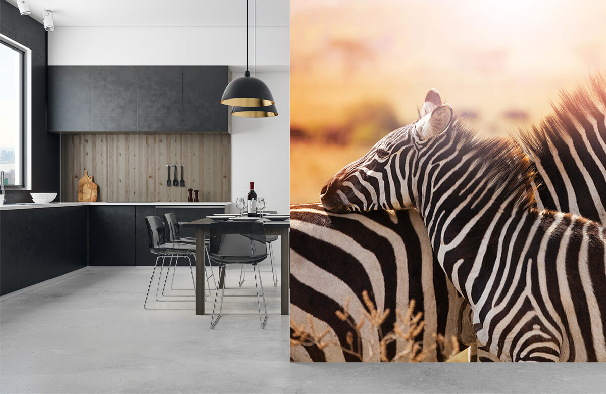 wallpaper Zebra liefde 9
