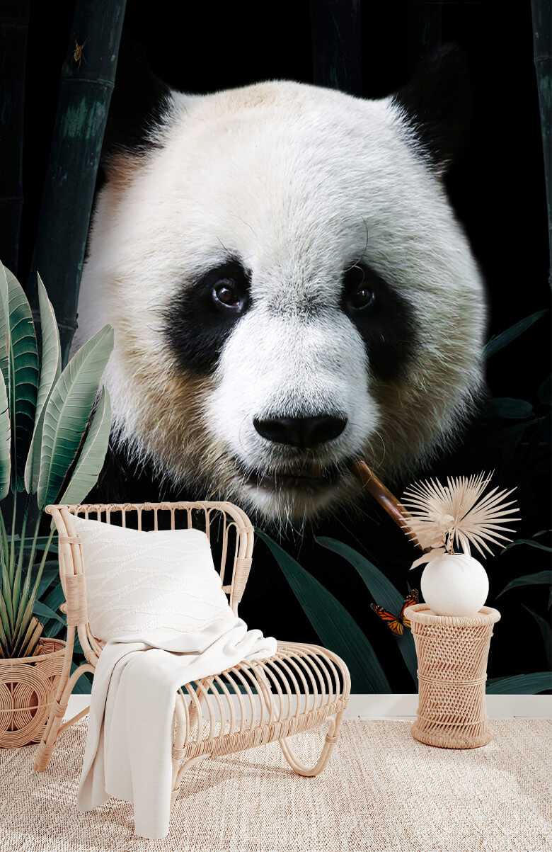 wallpaper Panda Portret 3