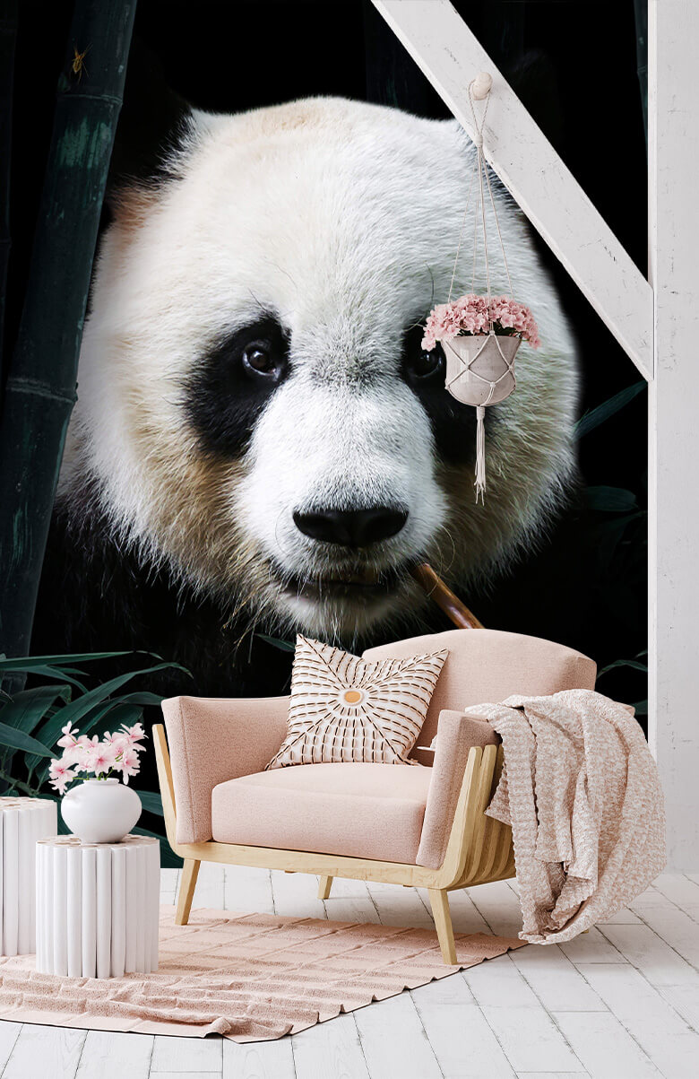 wallpaper Panda Portret 5
