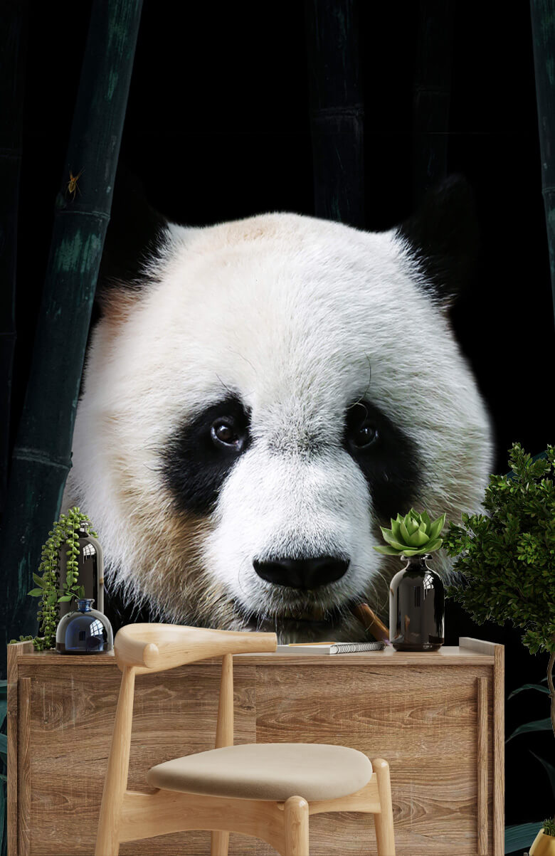 wallpaper Panda Portret 6