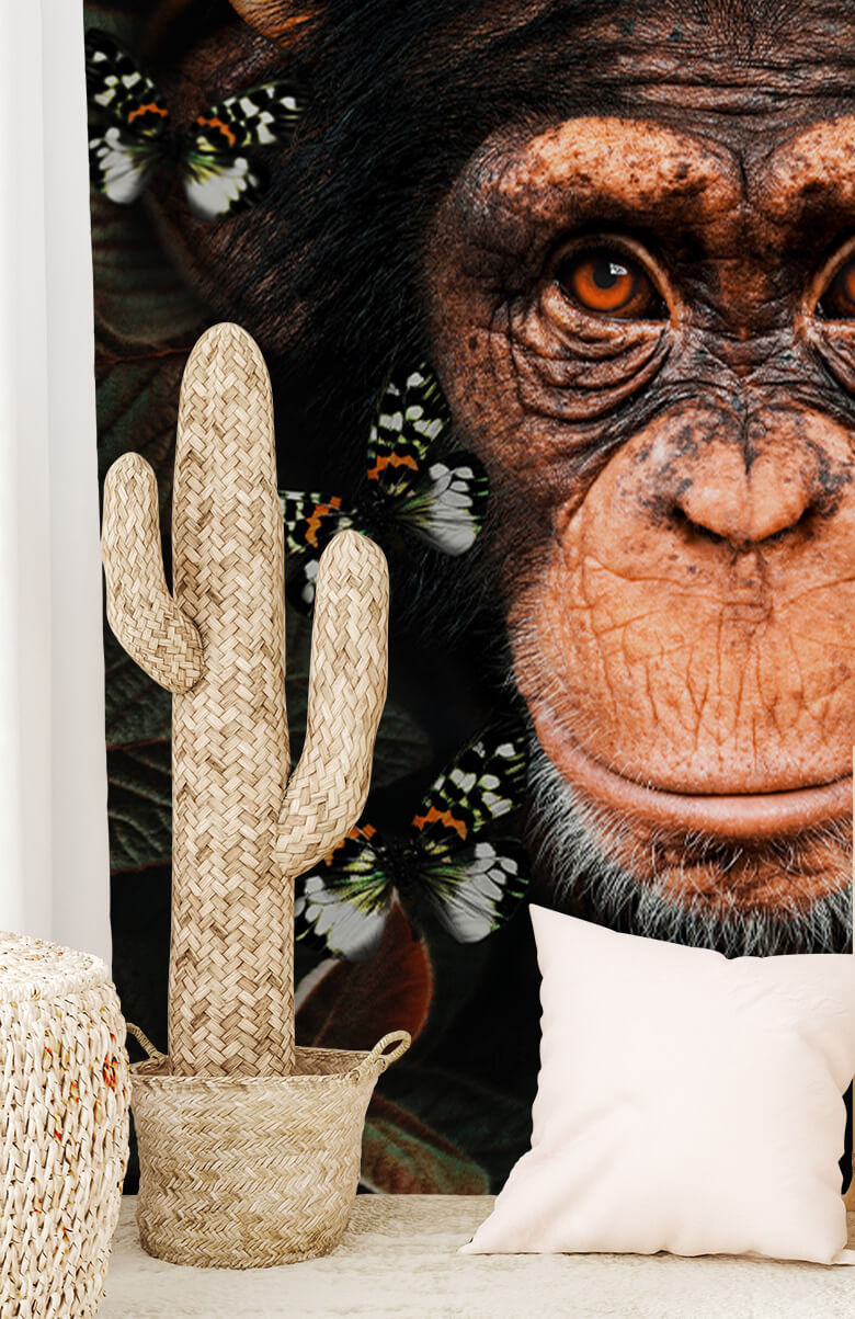 wallpaper Tropical Chimpanzee Portret 2