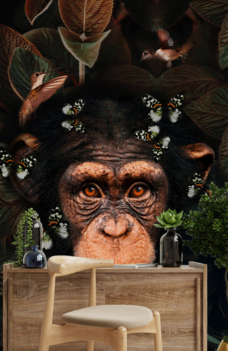 wallpaper Tropical Chimpanzee Portret 6