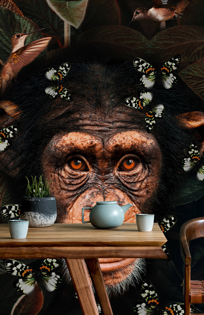 wallpaper Tropical Chimpanzee Portret 8