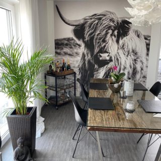 behang rotterdam kopen van outlet tot exclusief fotobehang op maat